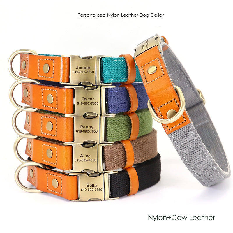 Leather Dog Collar Personalized Engraved Durable Nylon and Cow Leather Dog Collar with Custom Name Buckle, 5ft Matching Dog Leash Available