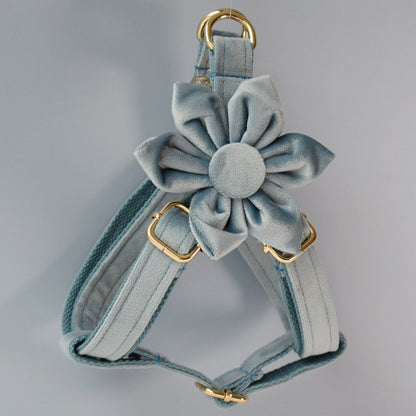 Customised Engraved Thick Velvet AIR FORCE BLUE Dog Collar Harness and Leash Set for Male Female Pet with Gold Buckle