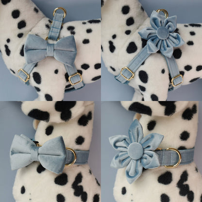 Customised Engraved Thick Velvet AIR FORCE BLUE Dog Collar Harness and Leash Set for Male Female Pet with Gold Buckle