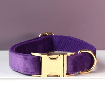 Purple thick velvet handmade girl or boy dog collar with engraved customizable buckle, Matching Bowtie, Flower, Leash