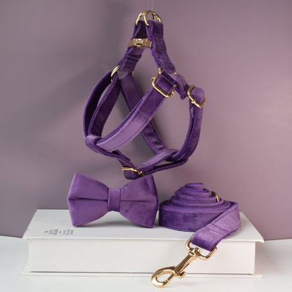 Purple thick velvet handmade girl or boy dog collar with engraved customizable buckle, Matching Bowtie, Flower, Leash