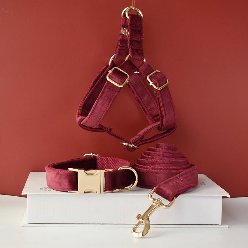Personalised Thick Velvet Burgundy Dog Collar or Dog Collar and Lead Set