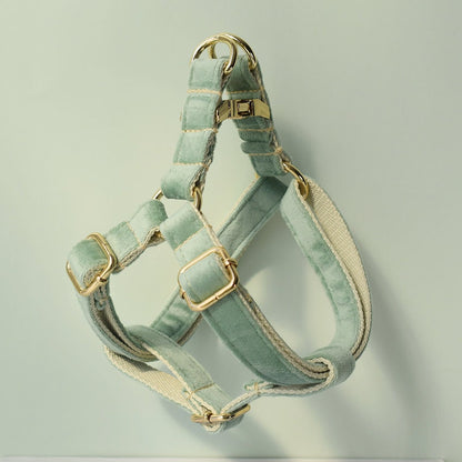 Personalised Sage GREEN Thick Velvet Girl or Boy Dog Collar, Harness, and Leash Set with Detachable Matching Bowtie Flower