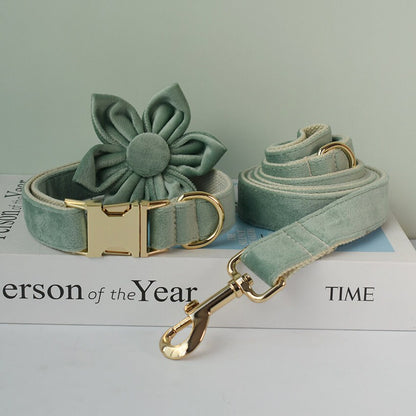 Personalised Sage GREEN Thick Velvet Girl or Boy Dog Collar, Harness, and Leash Set with Detachable Matching Bowtie Flower