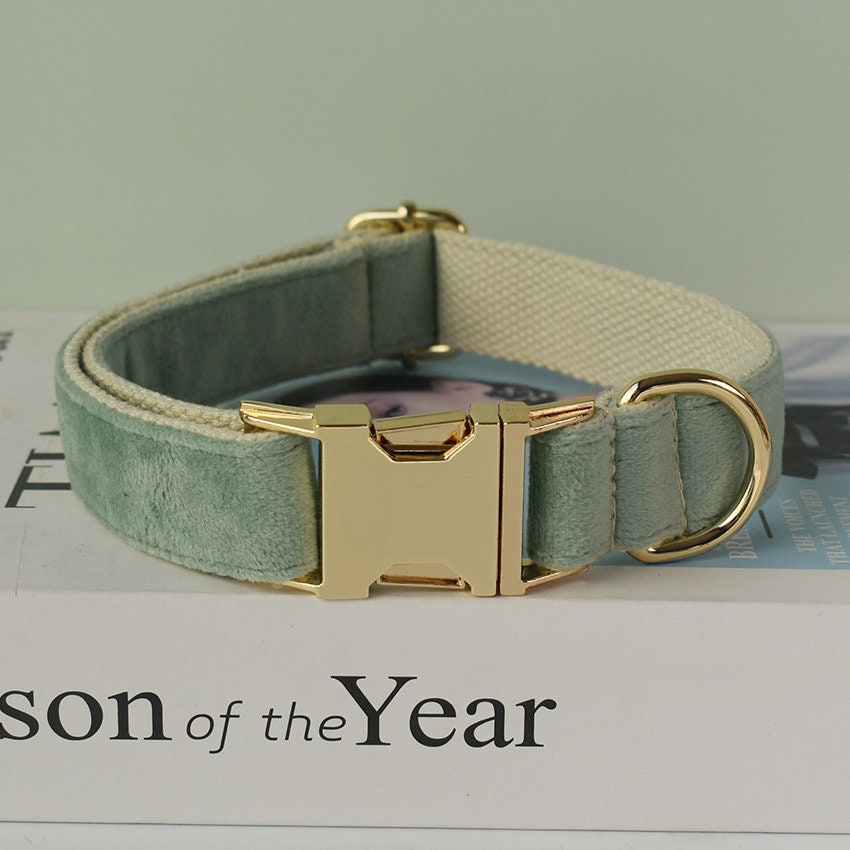 Personalised Sage GREEN Thick Velvet Girl or Boy Dog Collar, Harness, and Leash Set with Detachable Matching Bowtie Flower