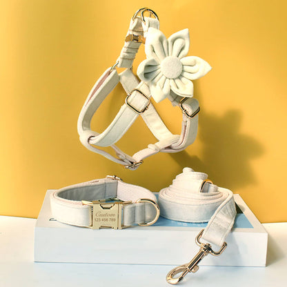 Personalised Cream white Thick Velvet Girl or Boy Dog Collar,Harness, and Leash Set with Detachable Matching Bowtie flower
