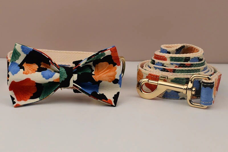Personalised Dog Collar or Dog Lead Set, Matching Step-In Harness and Removable Bowtie in Ivory and Colorful Shell Prints Pattern