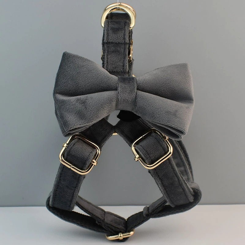 Personalised Dog Collar, Step in Harness, Lead, Bow in Gray Velvet, Customize with Name, Great for Wedding