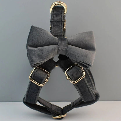 Personalised Dog Collar, Step in Harness, Lead, Bow in Gray Velvet, Customize with Name, Great for Wedding