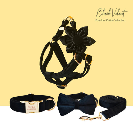 Personalised Dog Collar, Step in Harness, Lead, Bow, Flower in Black Velvet and Golden Metal Buckle, Customised with Name, for Wedding