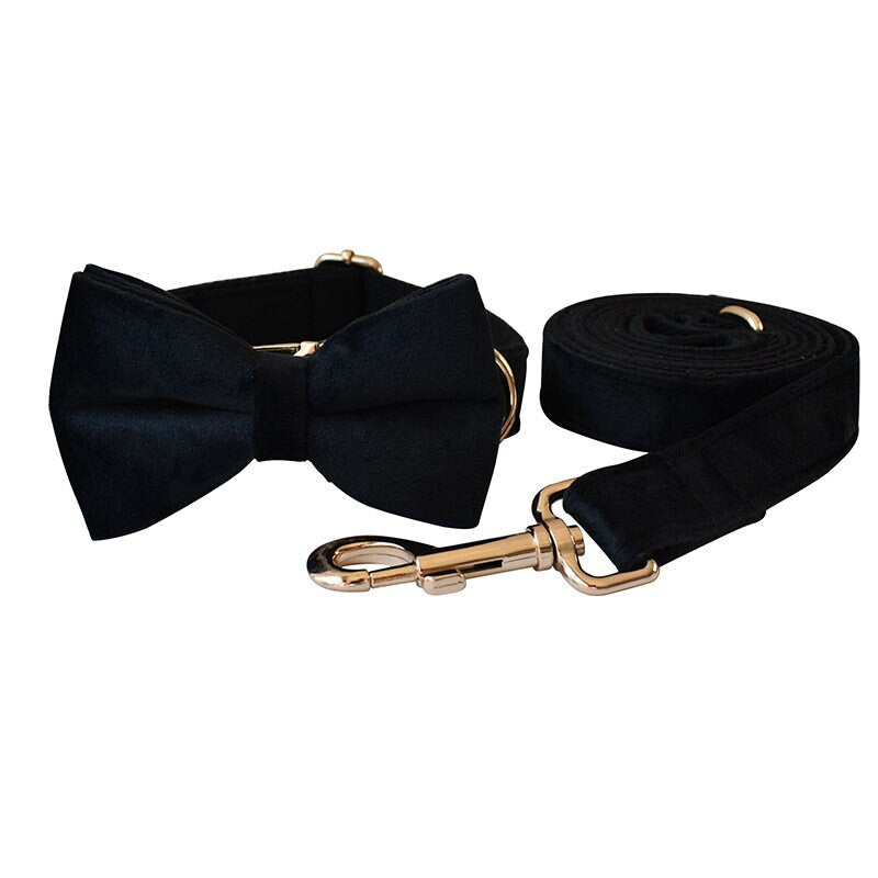 Personalised Dog Collar, Step in Harness, Lead, Bow, Flower in Black Velvet and Golden Metal Buckle, Customised with Name, for Wedding