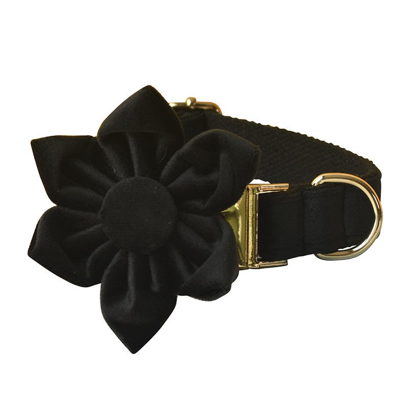 Personalised Dog Collar, Step in Harness, Lead, Bow, Flower in Black Velvet and Golden Metal Buckle, Customised with Name, for Wedding