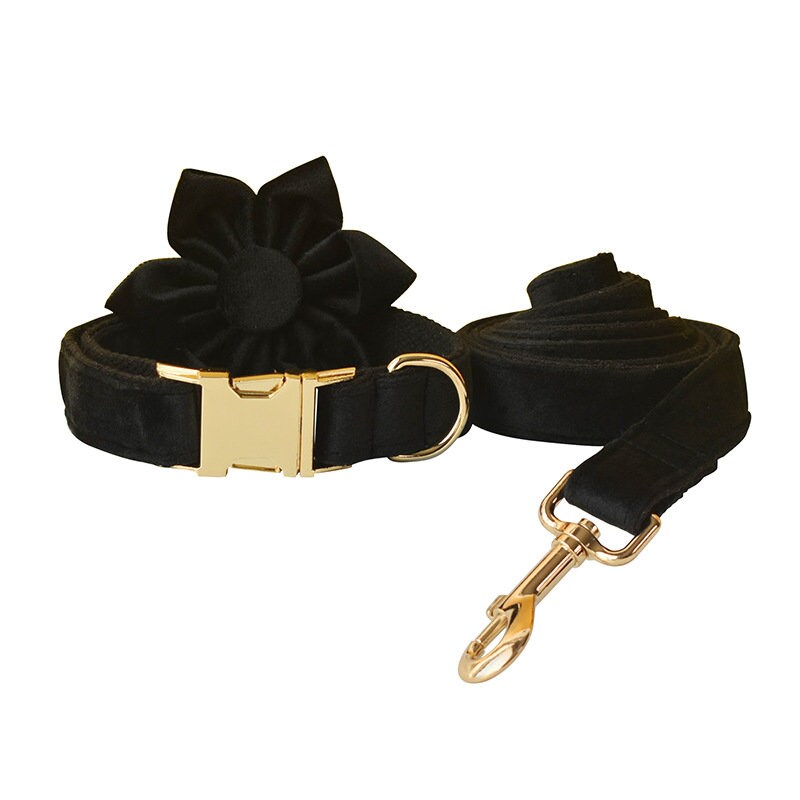 Personalised Dog Collar, Step in Harness, Lead, Bow, Flower in Black Velvet and Golden Metal Buckle, Customised with Name, for Wedding