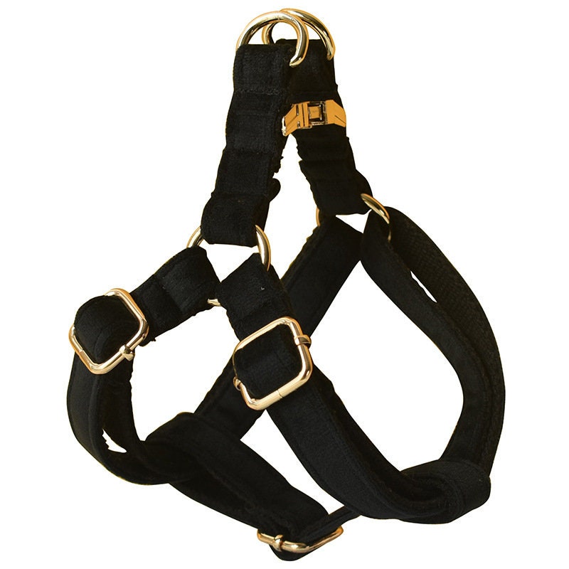 Personalised Dog Collar, Step in Harness, Lead, Bow, Flower in Black Velvet and Golden Metal Buckle, Customised with Name, for Wedding