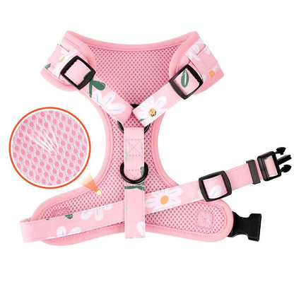 Personalised Dog Collar in Pink and Gorgeous Daisy Floral Pattern