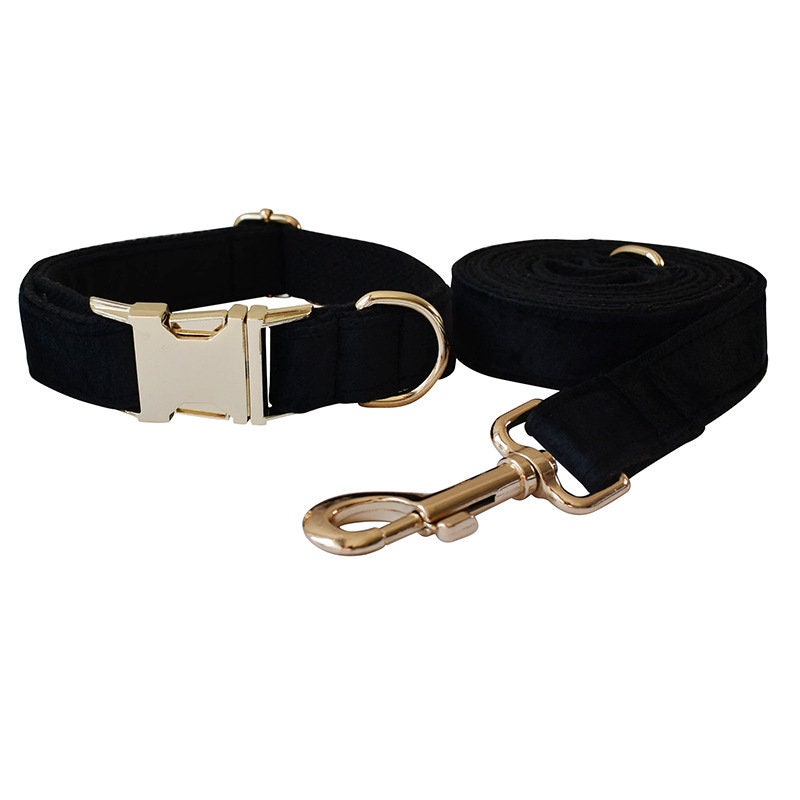 Personalised Dog Collar, Step in Harness, Lead, Bow, Flower in Black Velvet and Golden Metal Buckle, Customised with Name, for Wedding