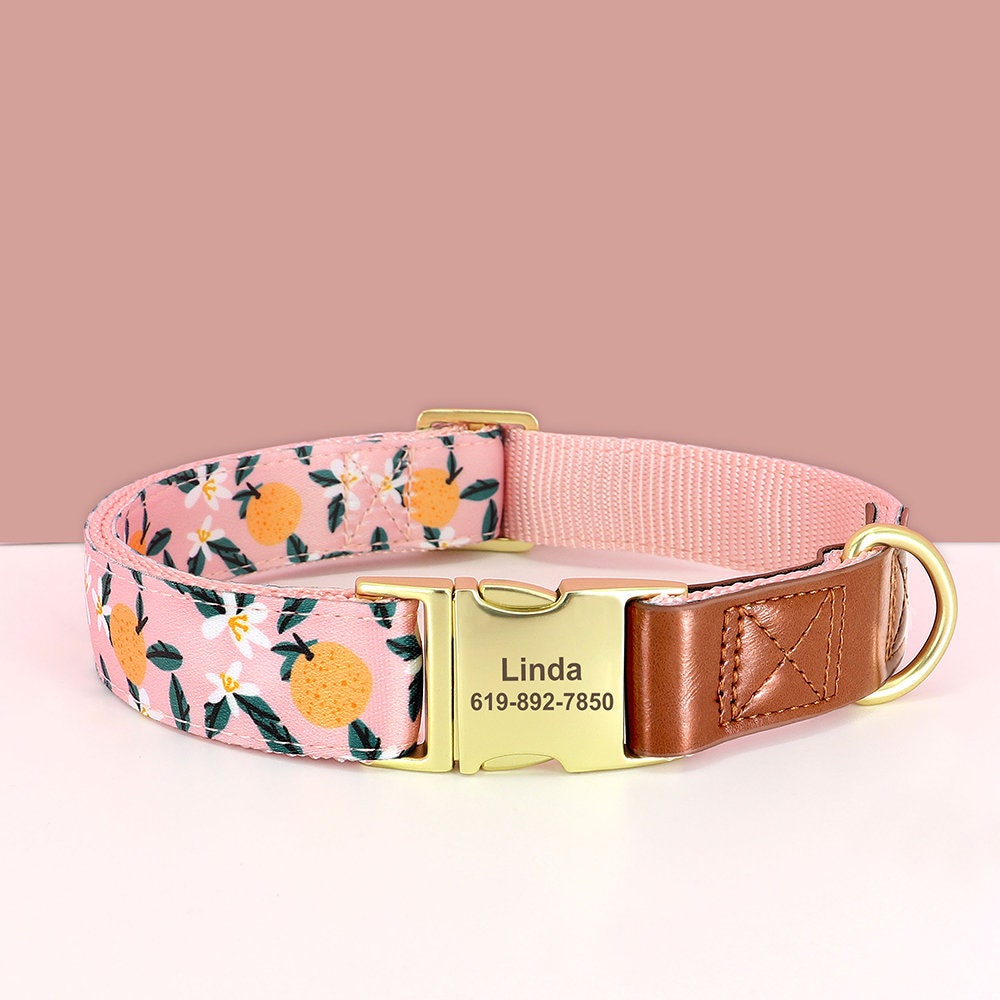 Personalised Leather Dog Collar in Brown and Pink, Green, Blue, Purple, Orange and Heart and Floral Pattern