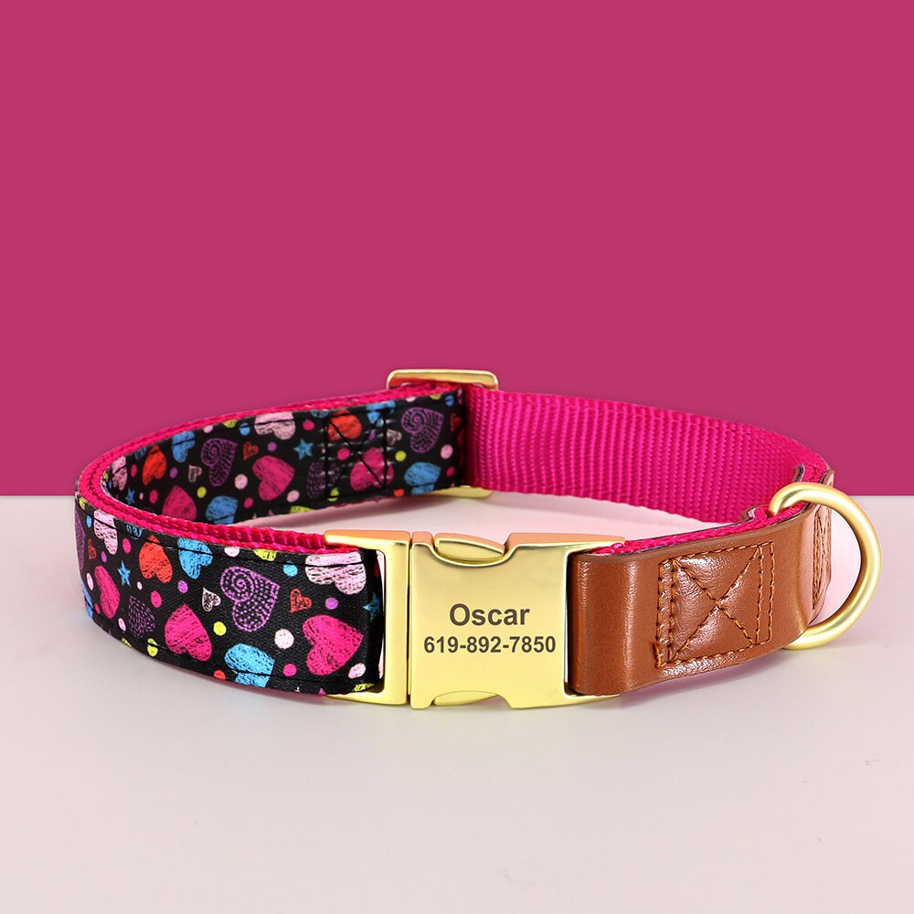 Personalised Leather Dog Collar in Brown and Pink, Green, Blue, Purple, Orange and Heart and Floral Pattern