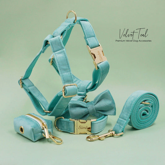 Custom Teal Velvet Personalised Dog Collar, Matching Dog Bowtie, Dog Leash, Dog Harness and Dog Poop Bag