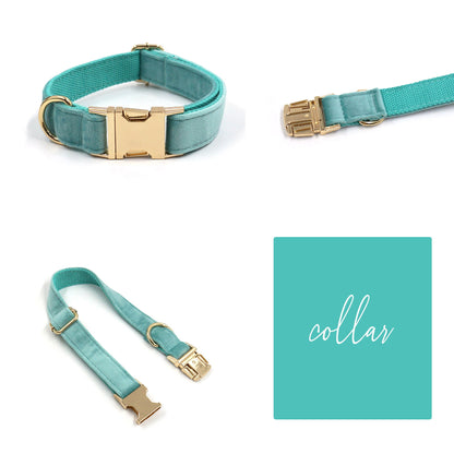 Custom Teal Velvet Personalised Dog Collar, Matching Dog Bowtie, Dog Leash, Dog Harness and Dog Poop Bag