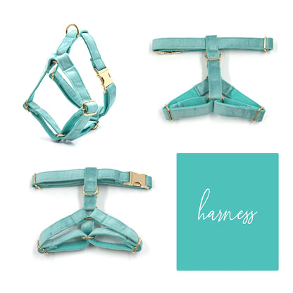 Custom Teal Velvet Personalised Dog Collar, Matching Dog Bowtie, Dog Leash, Dog Harness and Dog Poop Bag