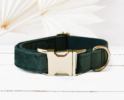 Personalised Green, Cream Velvet Boy Dog Collar with Engraved Name, Optional Bowtie, Leash, Poop Bag Holder and Airtag Holder