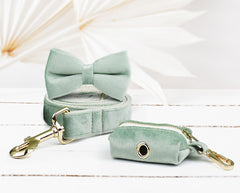 Personalized Green, Cream Velvet Boy Dog Collar with Engraved Name, Optional Bowtie, Leash, Poop Bag Holder and Airtag Holder