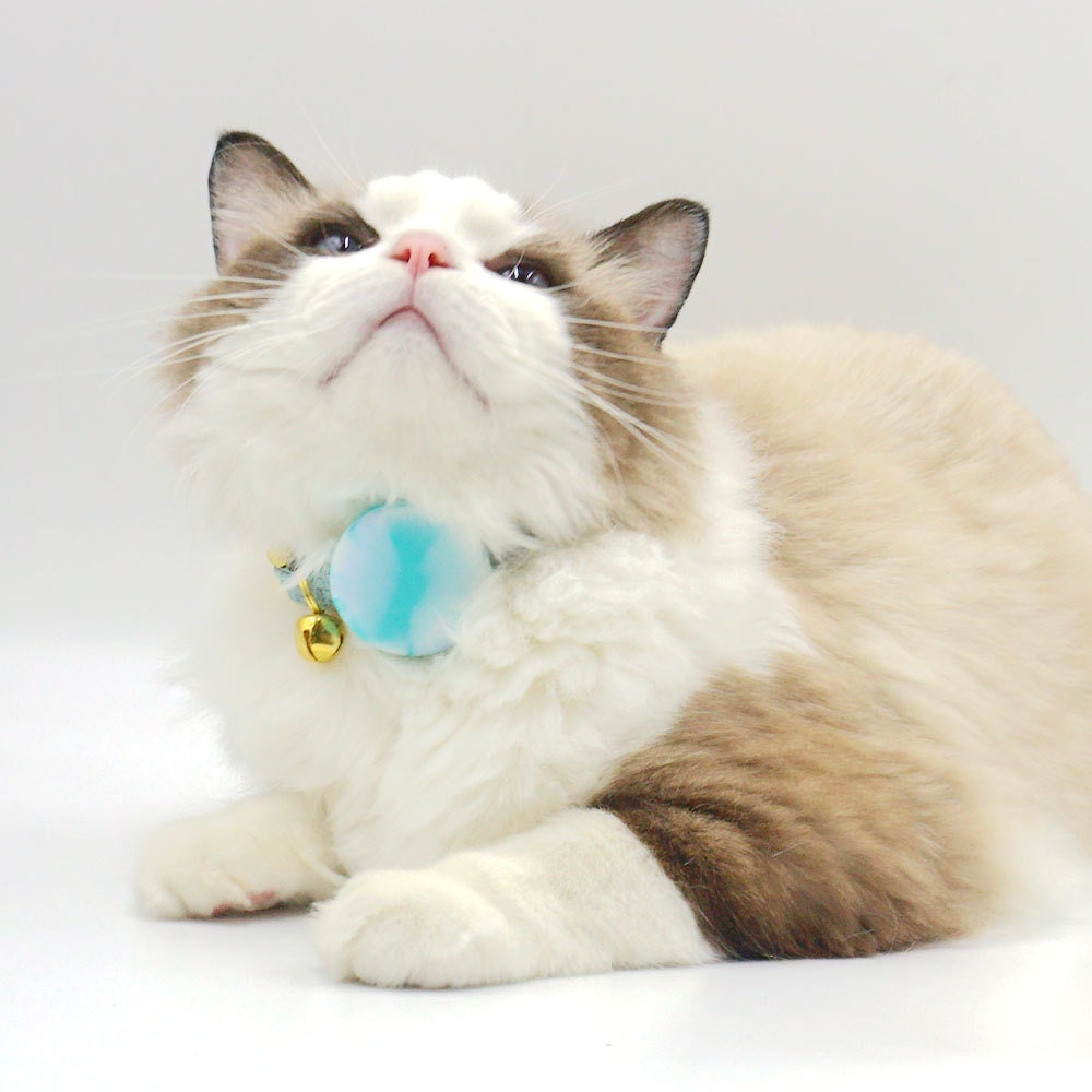 Personalised Airtag Holder Collar Attachment, Silicone Shell Cover for Airtag Cat and Dog Collar, Blue, Red, Green *AirTag not included