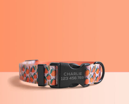 Personalised Orange Lightweight Dog Collar, Premium Dog Collar or Dog Collar and Leash Set with Matching Bowtie *Detachable