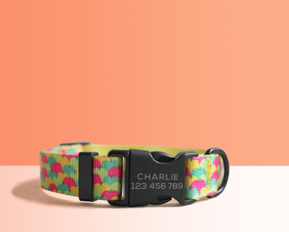 Personalised Multi-Colored Lightweight Dog Collar, Personalised Premium Dog Collar or Dog Collar and Leash Set with Matching Bowtie