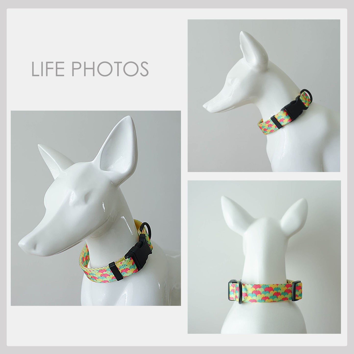Personalised Multi-Colored Lightweight Dog Collar, Personalised Premium Dog Collar or Dog Collar and Leash Set with Matching Bowtie