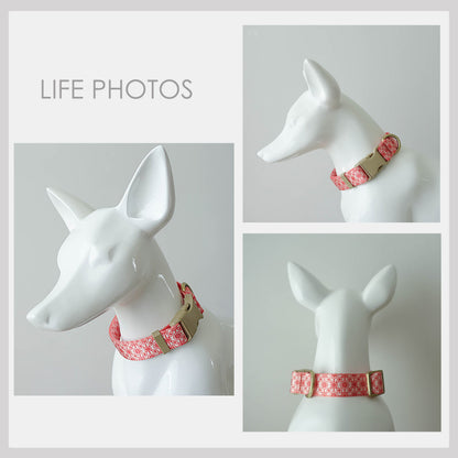 Personalised Red Green Lightweight Dog Collar, Personalised Premium Dog Collar or Dog Collar and Leash Set with Matching Bowtie *Detachable