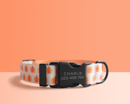 Personalised Orange Lightweight Dog Collar, Premium Dog Collar or Dog Collar and Leash Set with Matching Bowtie *Detachable