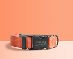 Personalized Orange Lightweight Dog Collar, Premium Dog Collar or Dog Collar and Leash Set with Matching Bowtie *Detachable