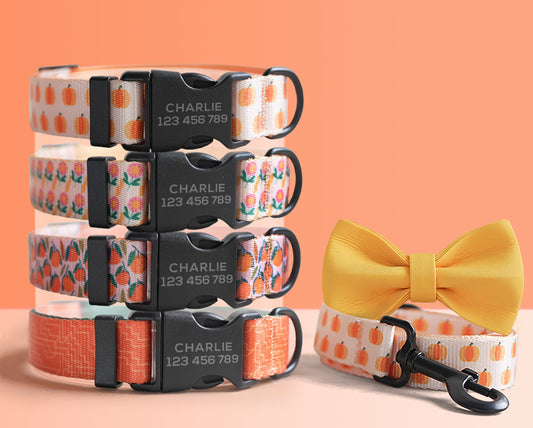 Personalised Orange Lightweight Dog Collar, Premium Dog Collar or Dog Collar and Leash Set with Matching Bowtie *Detachable