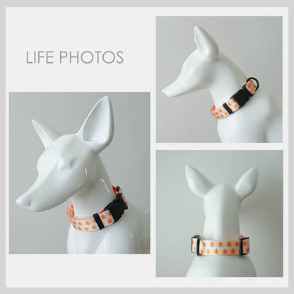 Personalised Orange Lightweight Dog Collar, Premium Dog Collar or Dog Collar and Leash Set with Matching Bowtie *Detachable
