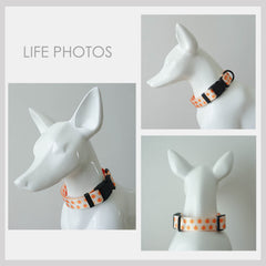 Personalized Orange Lightweight Dog Collar, Premium Dog Collar or Dog Collar and Leash Set with Matching Bowtie *Detachable