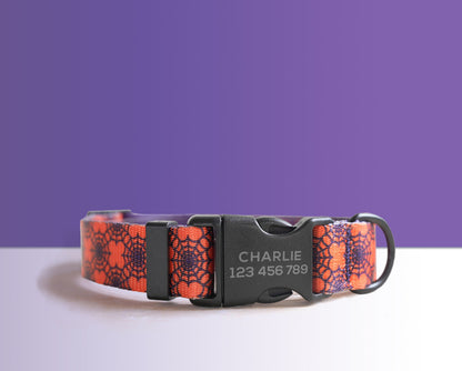 Halloween Dog Collar, Engraved Buckle in Purple, Orange, Pumpkin, Spider Web Pattern Personalised Dog Collar Set