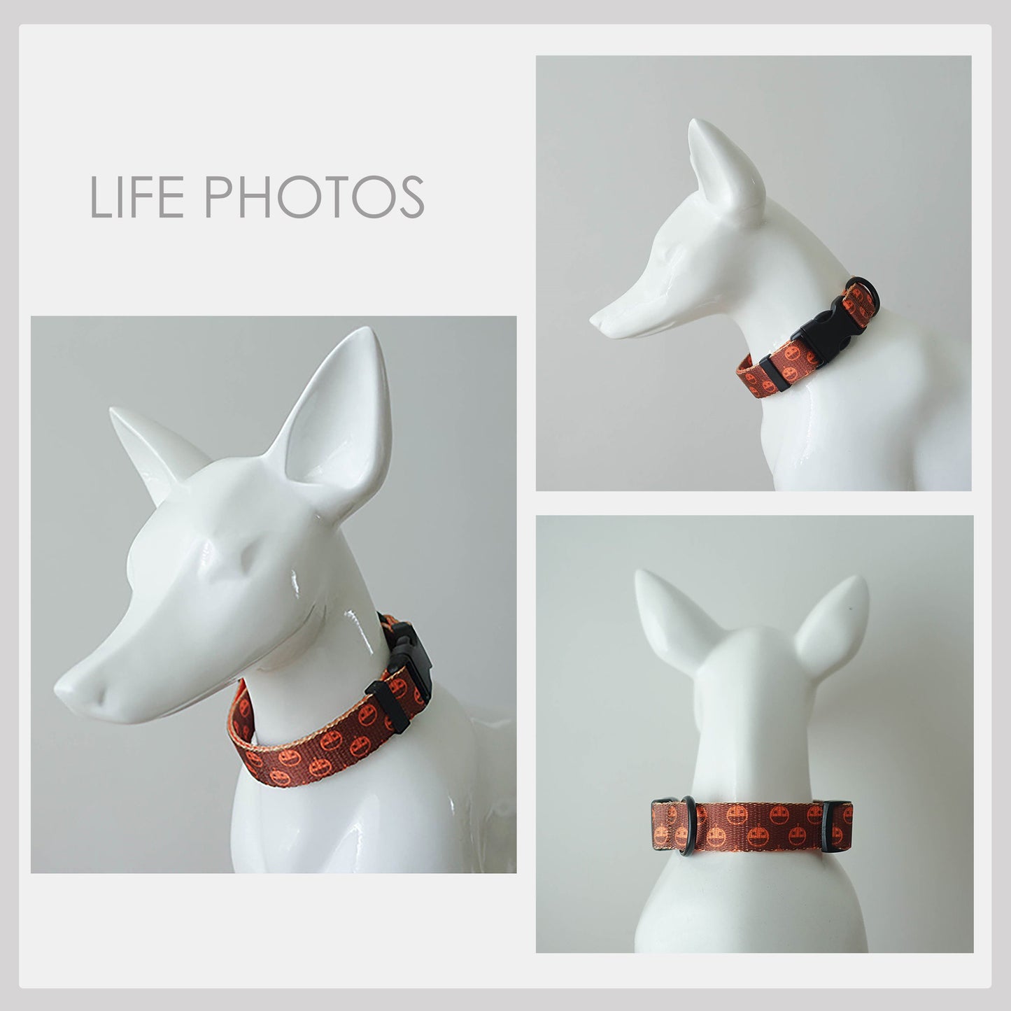 Halloween Dog Collar, Engraved Buckle in Purple, Orange, Pumpkin, Spider Web Pattern Personalised Dog Collar Set