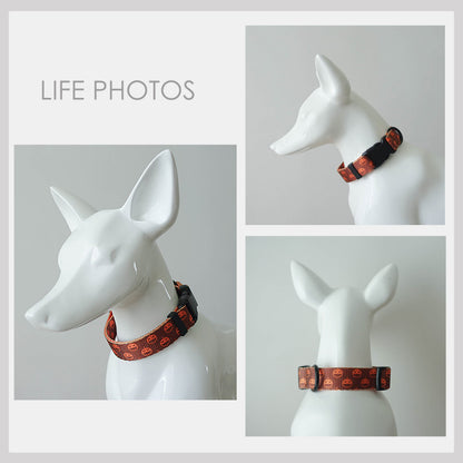 Halloween Dog Collar, Engraved Buckle in Purple, Orange, Pumpkin, Spider Web Pattern Personalised Dog Collar Set