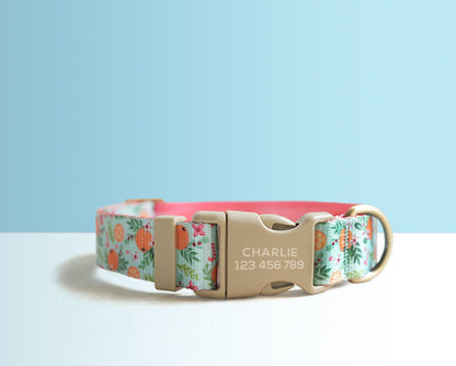 Blue Pink Floral Lightweight Dog Collar, Personalised Premium Dog Collar or Dog Collar and Leash Set with Matching Bowtie *Detachable