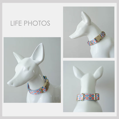 Blue Pink Floral Lightweight Dog Collar, Personalised Premium Dog Collar or Dog Collar and Leash Set with Matching Bowtie *Detachable