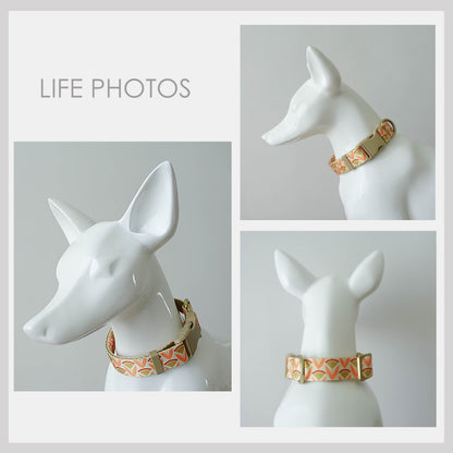 Orange Lightweight Dog Collar, Abstract Pattern Personalised Premium Dog Collar or Dog Collar and Leash Set with Matching Bowtie