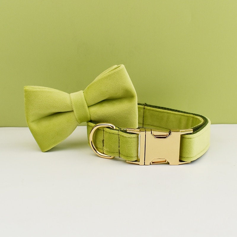 Green Personalised Dog Harness for Small, Medium, Large Dogs, Avocado Green Custom Dog Collar with Name, Bow, Flower, Poop Bag Holder