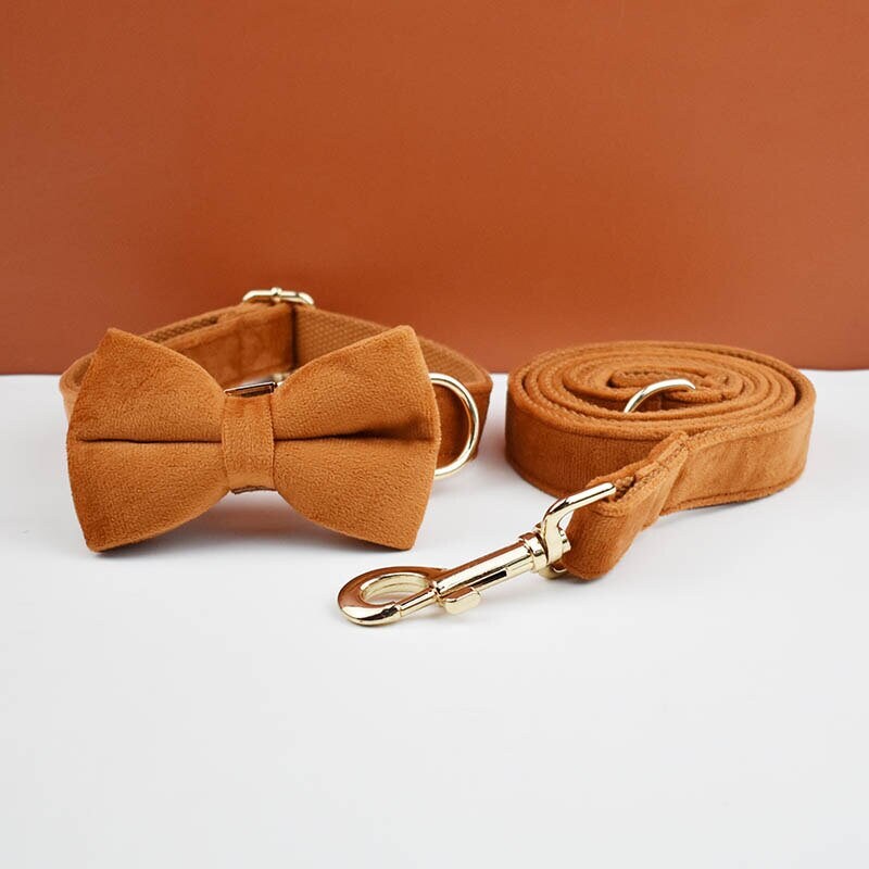 Custom Camel Brown Velvet Personalised Dog Collar, Matching Dog Bowtie, Dog Flower, Leash, H-Style Harness & Dog Poop Bag