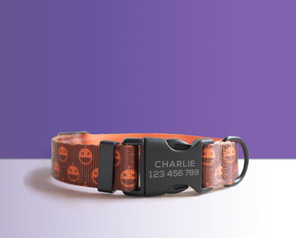 Halloween Dog Collar, Engraved Buckle in Purple, Orange, Pumpkin, Spider Web Pattern Personalised Dog Collar Set