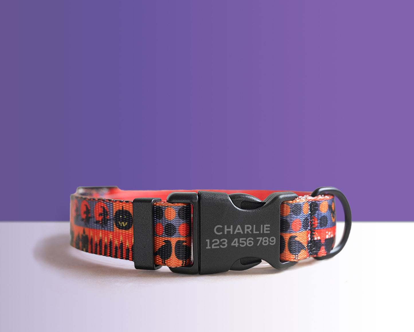 Halloween Dog Collar, Engraved Buckle in Purple, Orange, Pumpkin, Spider Web Pattern Personalised Dog Collar Set