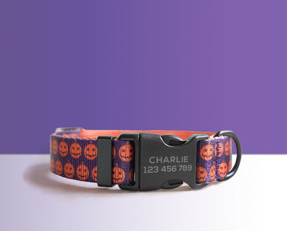 Halloween Dog Collar, Engraved Buckle in Purple, Orange, Pumpkin, Spider Web Pattern Personalised Dog Collar Set