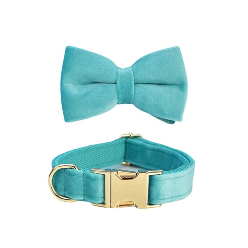 Custom Turquoise Velvet Personalised Dog Collar, Matching Dog Bowtie, Dog Flower, Leash, H-Style Dog Harness & Dog Poop Bag