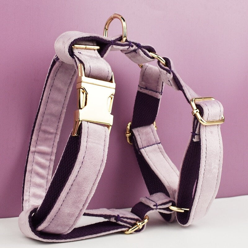 Purple Dog Harness, Custom Velvet Personalised Wedding Dog Collar with Name, Bow, Flower, Leash, Poop Bag Holder